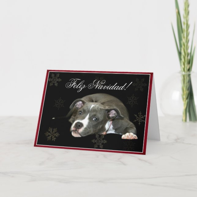 Feliz Navidad Blue Pitbull puppy Greeting Card (Front)
