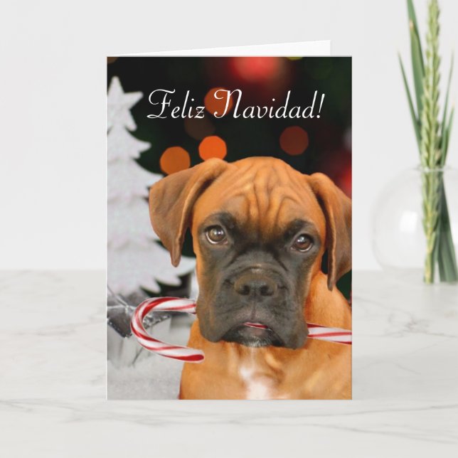 Feliz Navidad Boxer Dog greeting card (Front)