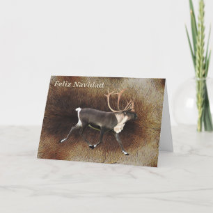 Feliz Navidad - Bull Caribou (Reindeer) Holiday Card