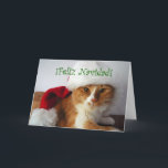 Feliz Navidad - Cat Wearing Santa Hat Holiday Card<br><div class="desc">This Christmas card features an orange and white cat in a Santa hat,  with the Spanish greeting "Feliz Navidad" (Merry Christmas) on the cover. The inside is blank for your own personal message. Photo by designer.</div>