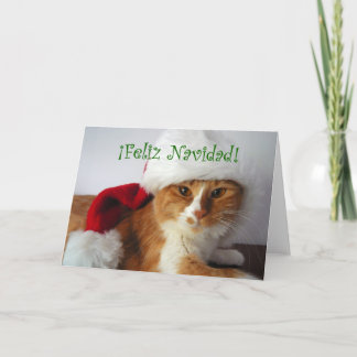 Feliz Navidad - Cat Wearing Santa Hat Holiday Card
