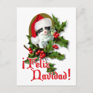 Feliz Navidad - Christmas Kitten Holiday Postcard