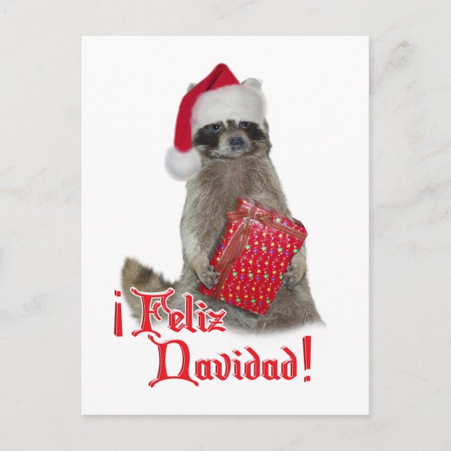 Feliz Navidad - Christmas Racoon Bandit Holiday Postcard (Front)
