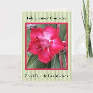 Feliz Navidad Comadre 721 Card