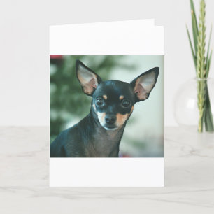Feliz Navidad Holiday Card