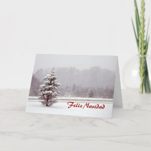 Feliz Navidad Merry Christmas in Spanish and snow Holiday Card