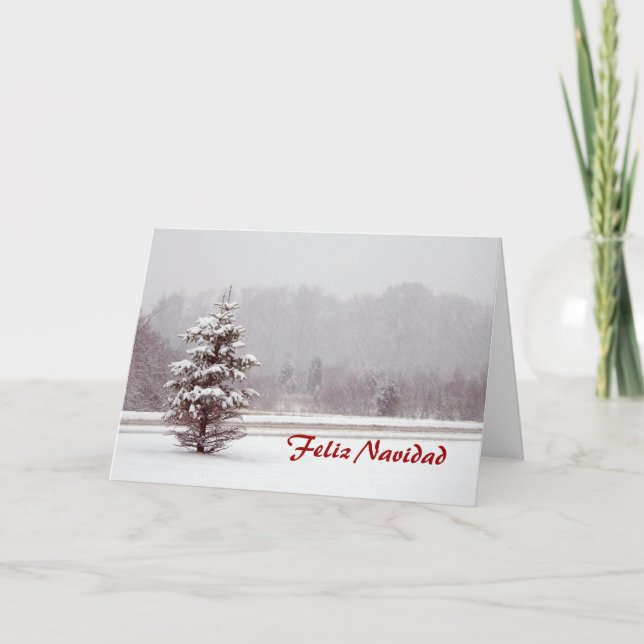 Feliz Navidad Merry Christmas in Spanish and snow Holiday Card (Front)