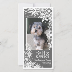 Feliz Navidad Photo Card: Let It Snow! Holiday Card