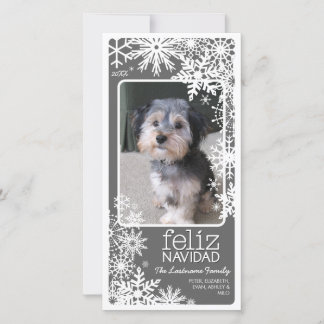 Feliz Navidad Photo Card: Let It Snow! Holiday Card