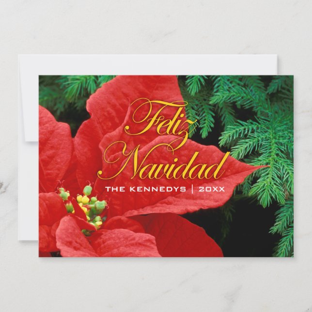 Feliz Navidad - Red Poinsettia and Fir Bow Holiday Card (Front)
