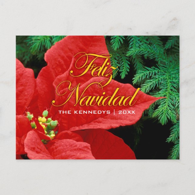 Feliz Navidad - Red Poinsettia and Fir Bow Holiday Postcard (Front)