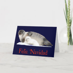 Feliz Navidad - Ringed Seal Holiday Card