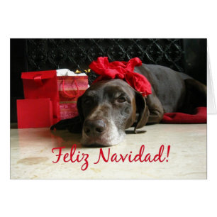Feliz Navidad Spanish Christmas Card