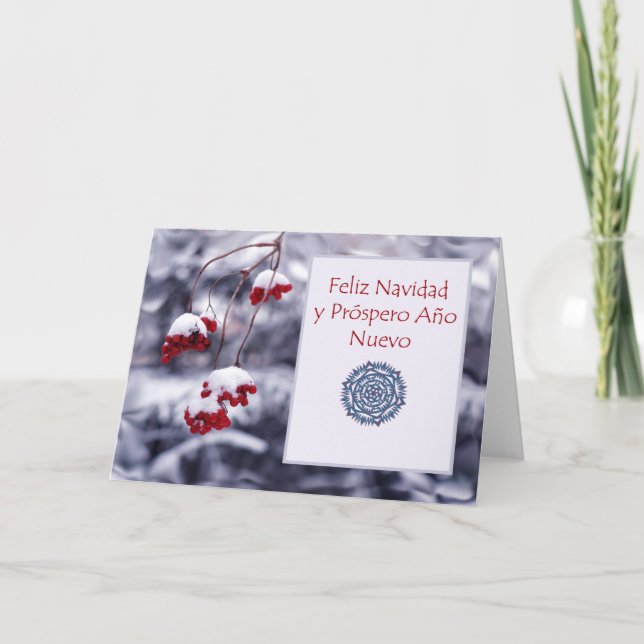 Feliz Navidad, Spanish Christmas Card, Berries Holiday Card (Front)