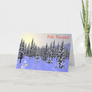 Feliz Navidad - Winter Solstice Holiday Card
