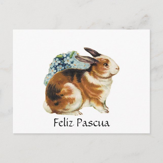 Feliz Pascua  , Happy Easter  in spanish Holiday Postcard (Front)