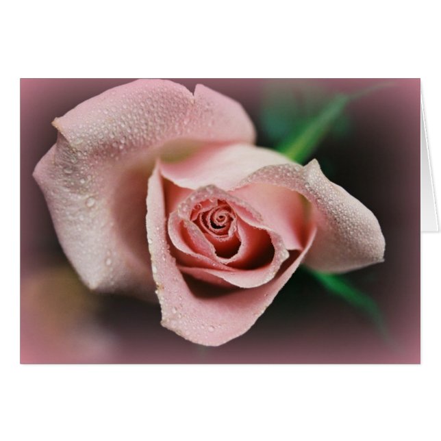 "Fellowship On The Path" (Front Horizontal)