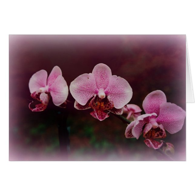 "Fellowship On The Path" (Front Horizontal)