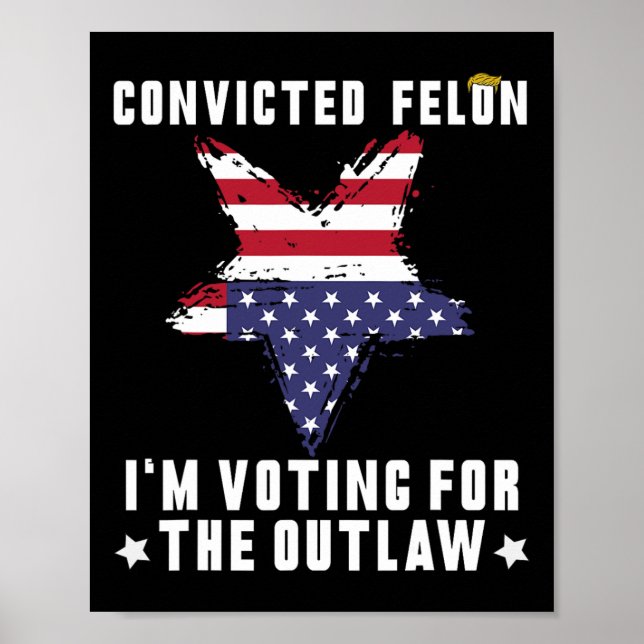 Felon 2024 Donald Trump 2024 Take America Back  Poster (Front)