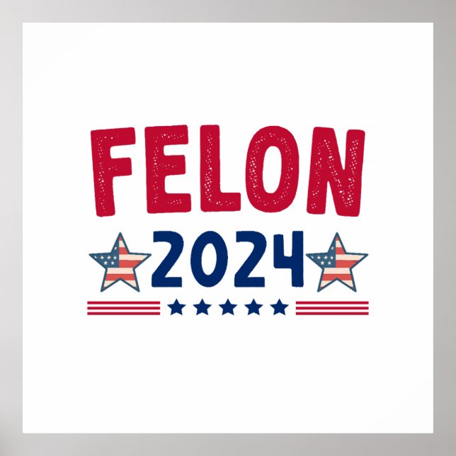 Felon 2024 Gift | USA Sarcastic Politics Poster (Front)