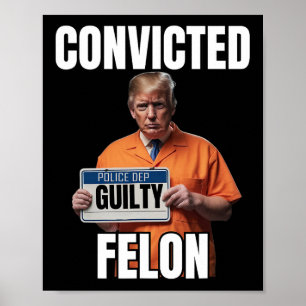 Felon Donald Trump 2024 Poster