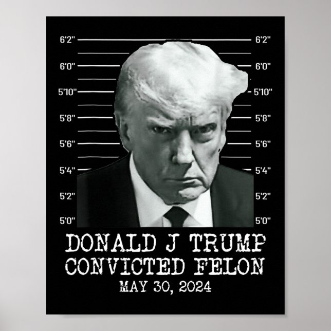 Felon Donald Trump Guilty Lock Him Up Trump Prison Poster (Front)