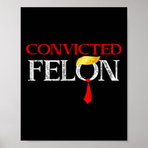 Felon Donald Trump Guilty Lock Him Up Trump Prison Poster