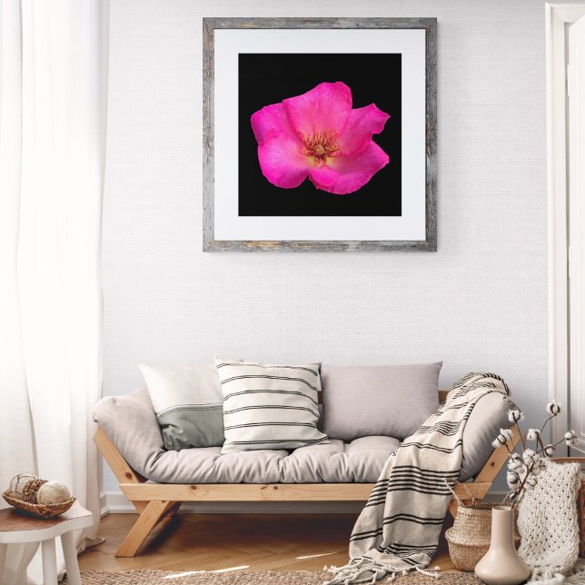Felt Pen Rose Photo Print (Creator Uploaded)
