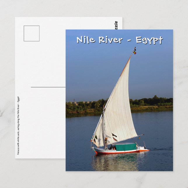 Felucca sailing along the Nile - Aswan, Egypt Postcard (Front/Back)