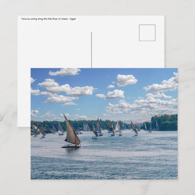 Feluccas sailing along the Nile - Aswan, Egypt Postcard (Front/Back)