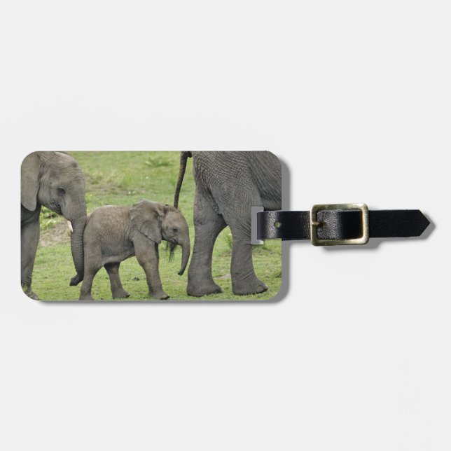 Female African Elephant with Baby Luggage Tag (Front Horizontal)