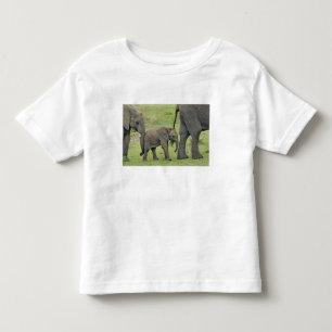 Female African Elephant with Baby Toddler T-Shirt