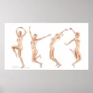 Female Anatomy Poster