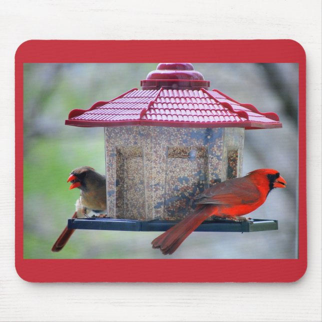 Female and Male Cardinals at Bird Feeder Mousepad (Front)