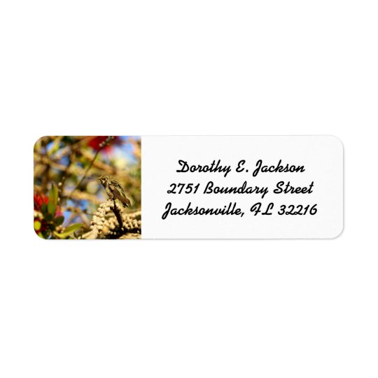 Female Anna's Hummingbird, CA, Return Address Return Address Label