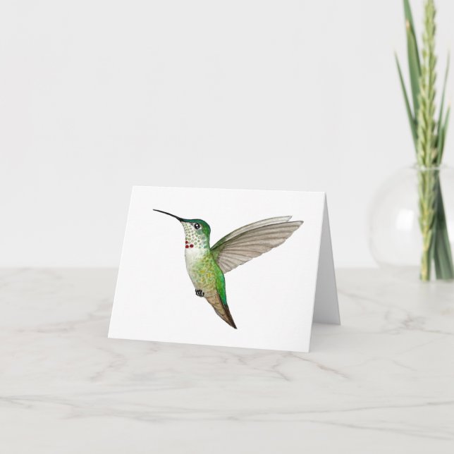 Female Anna's Hummingbird Card (Front)