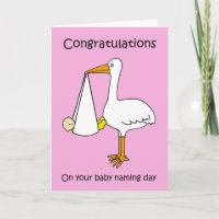 Female  Baby Naming Day Congratulations