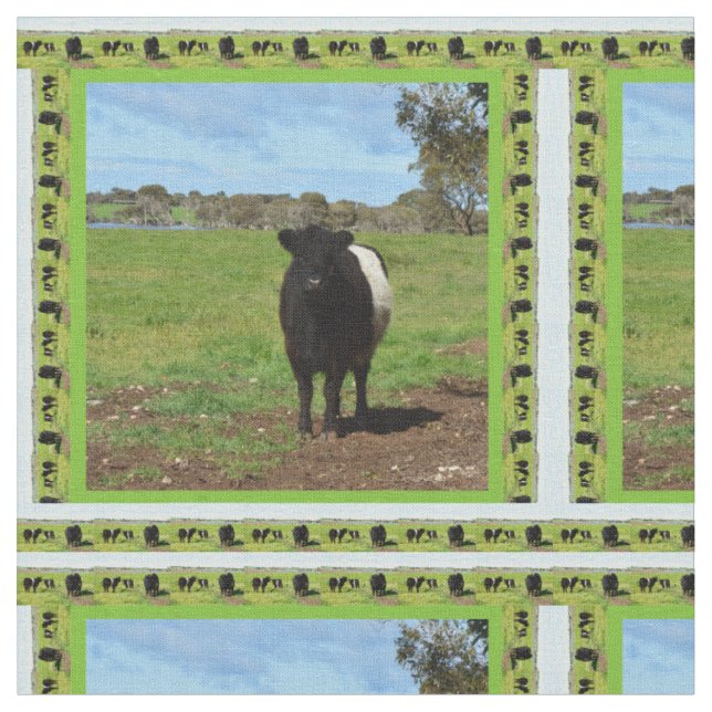 Female Belted Galloway Cow Framed, Fabric (Close Up)