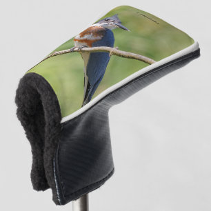 Female Belted Kingfisher Out on a Limb Golf Head Cover