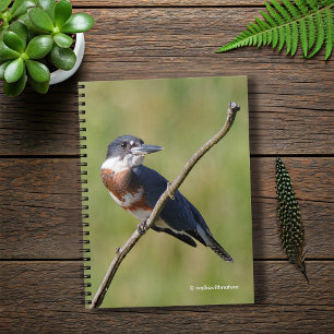Female Belted Kingfisher Out on a Limb Notebook
