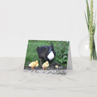 Female Blue Swedish Duck with Ducklings Card