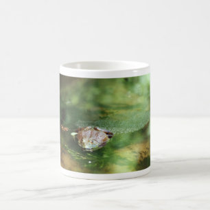 Female Bullfrog Laying Eggs Coffee Mug
