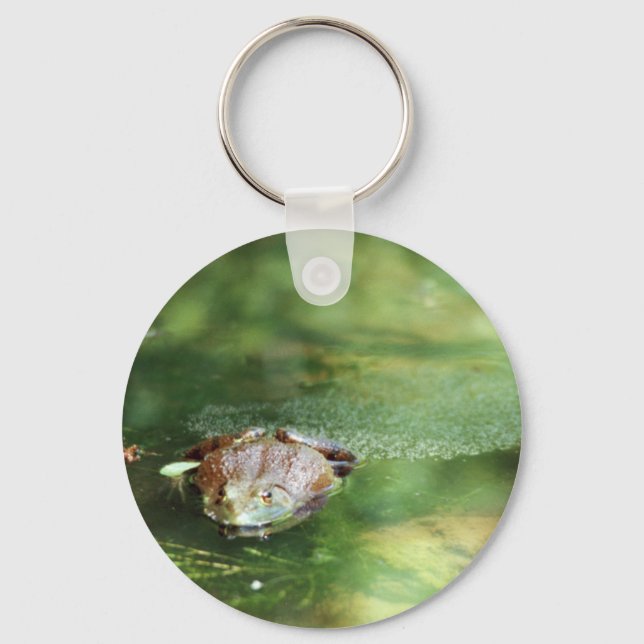 Female Bullfrog Laying Eggs Key Ring (Front)