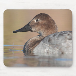 Female Canvasback duck Profile Mouse Mat
