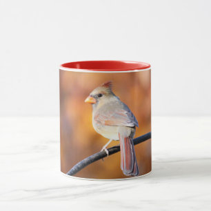 Female Cardinal 2716 Mug
