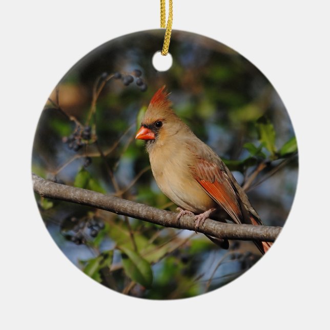 Female Cardinal 4 Ceramic Tree Decoration (Front)