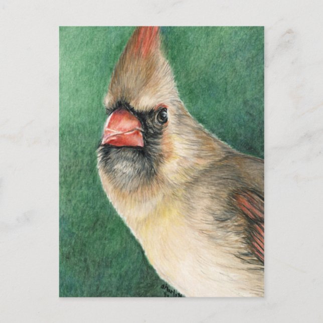 Female Cardinal Art Postcard (Front)