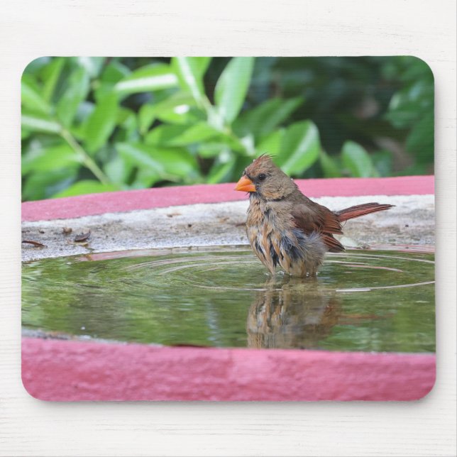 Female Cardinal at Birdbath Mouse Mat (Front)