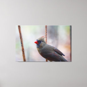 Female Cardinal Bird Canvas Print