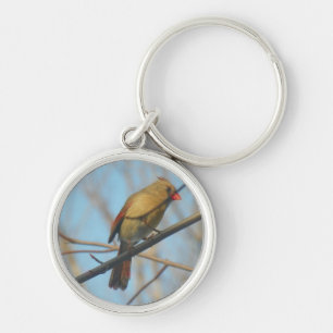 Female Cardinal/Bird Key Ring
